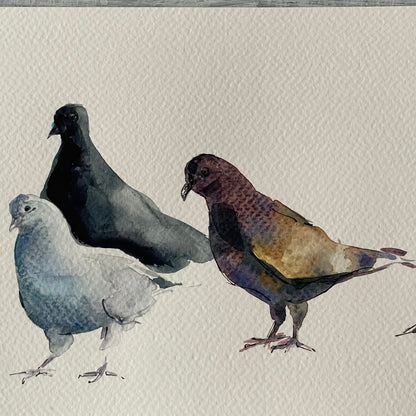 Urban Doves