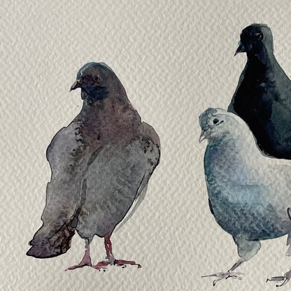 Urban Doves