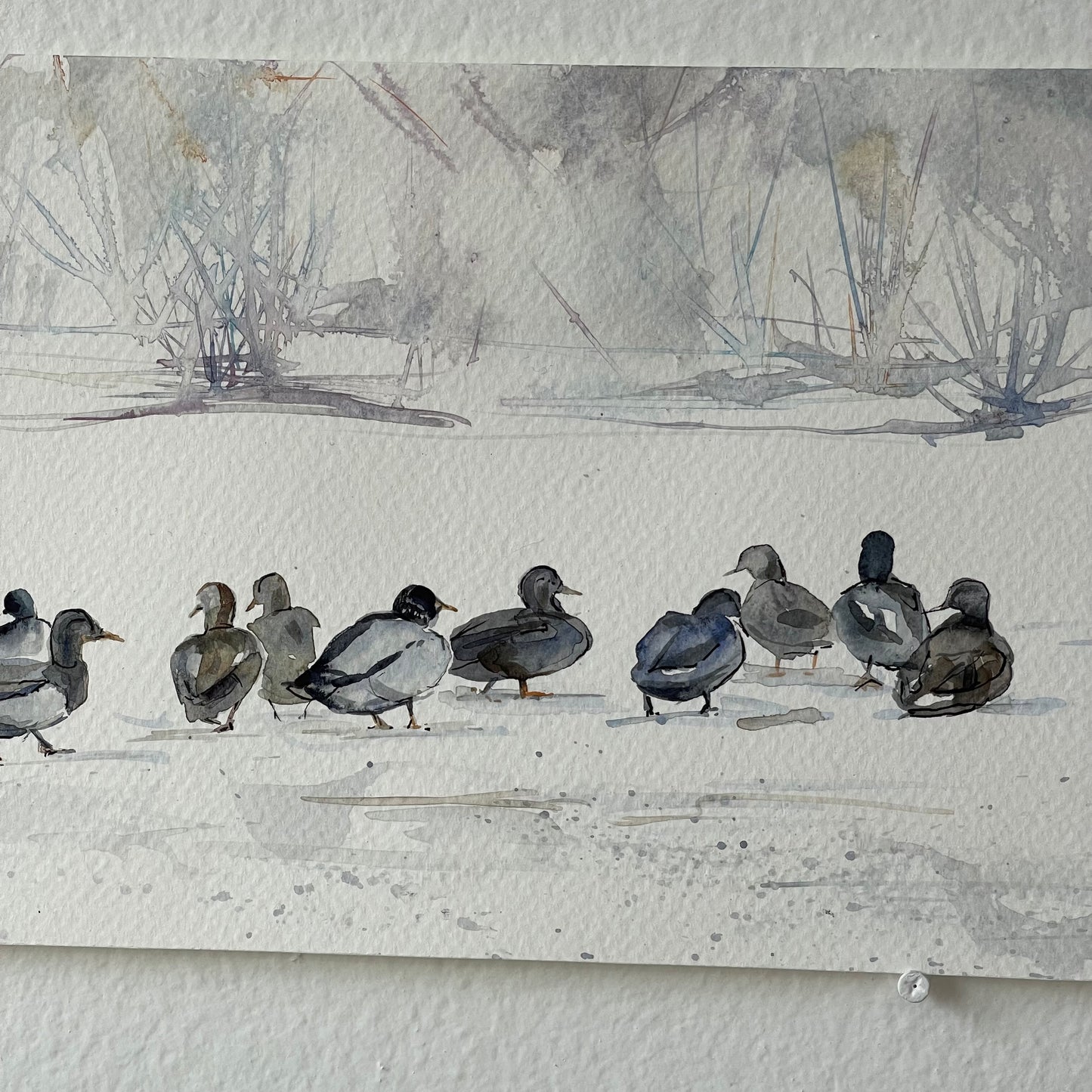 Ducks on a Snowy Field