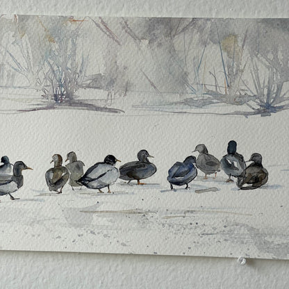 Ducks on a Snowy Field