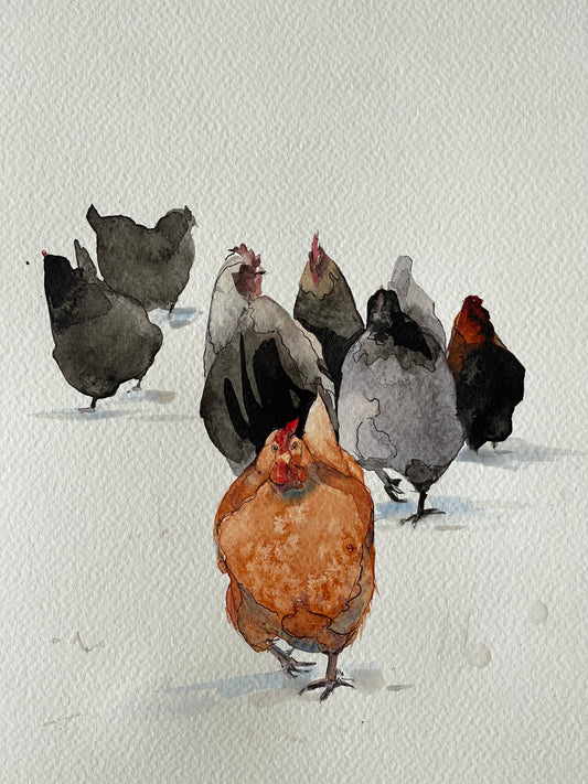 Chickens in the Snow