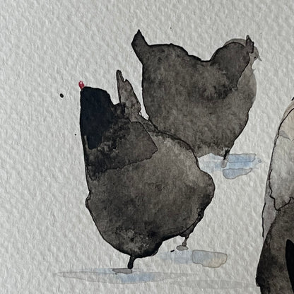 Chickens in the Snow