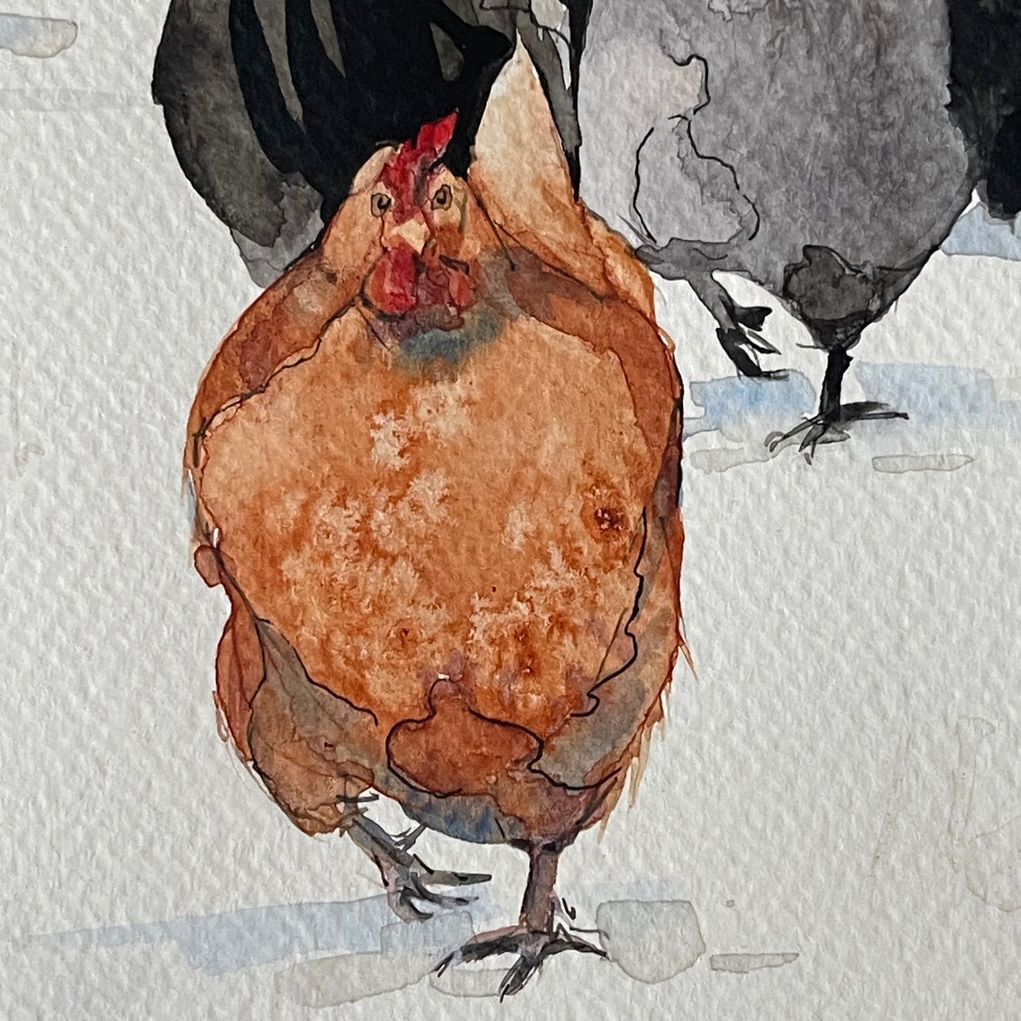 Chickens in the Snow