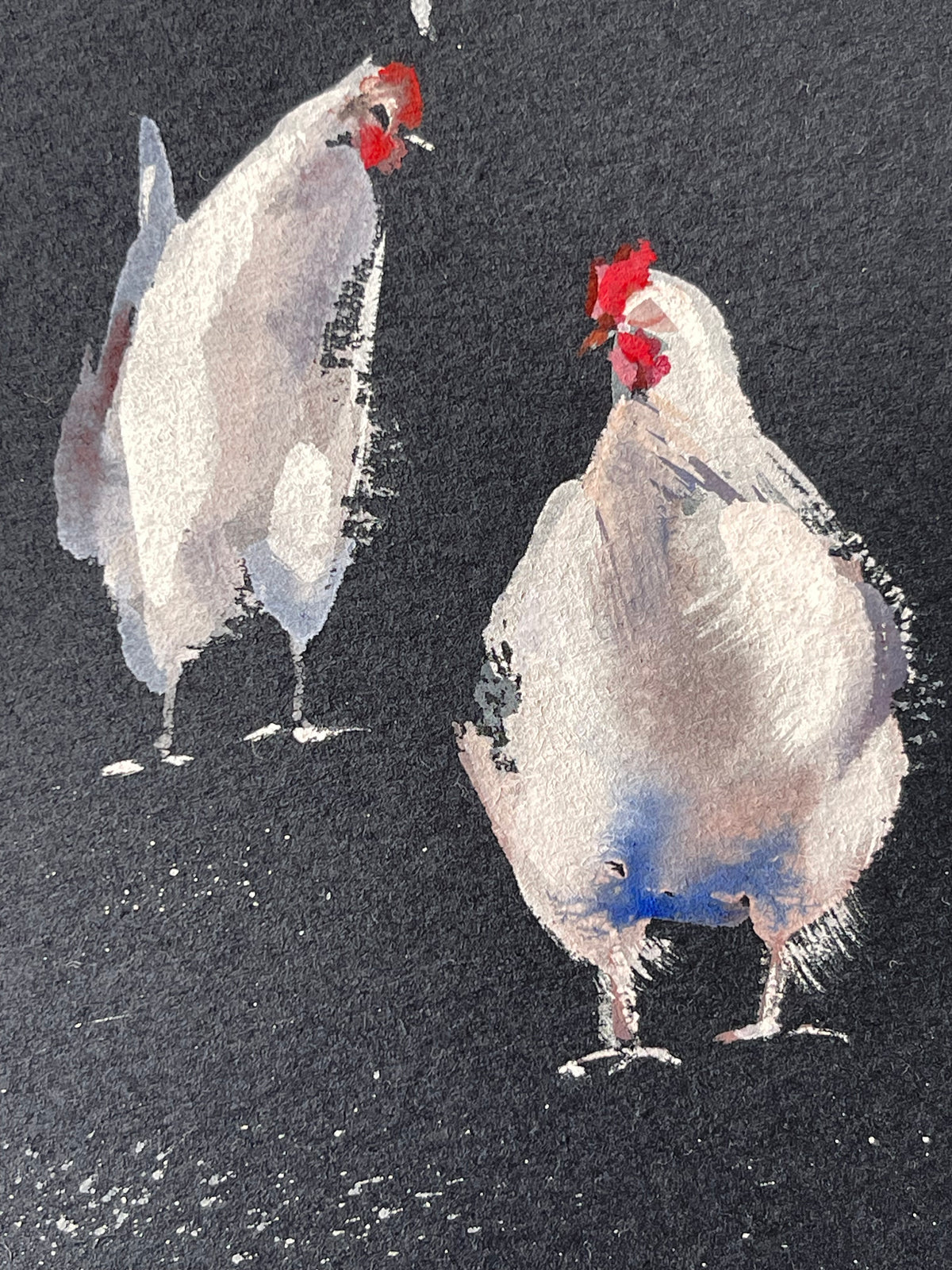 Chickens in contrast.