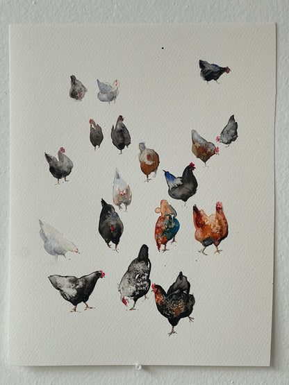 Colourful chickens