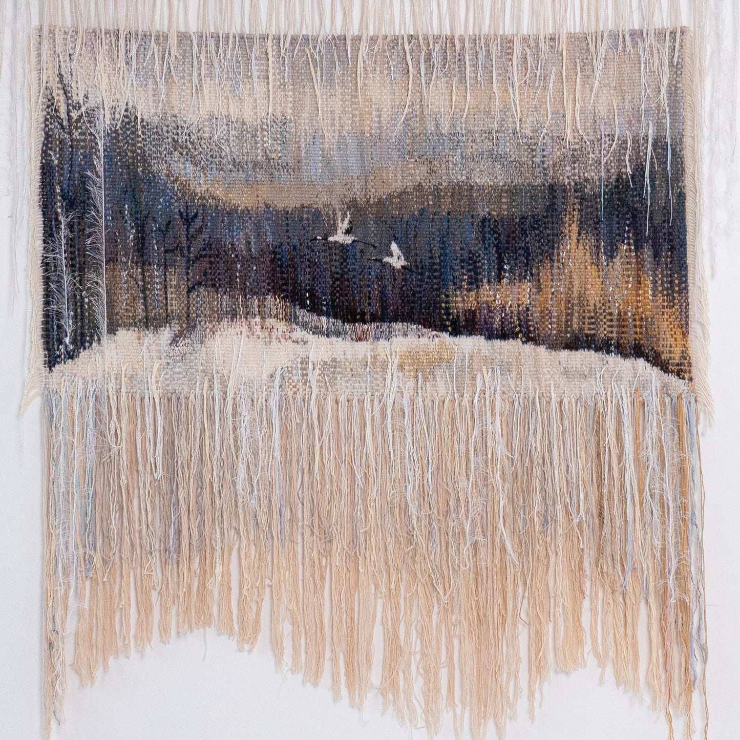 Panorama of My Orchard in Kovalivka Village.